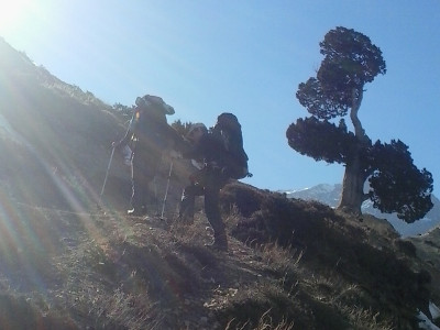 Hightlights include TIJI festival 2022