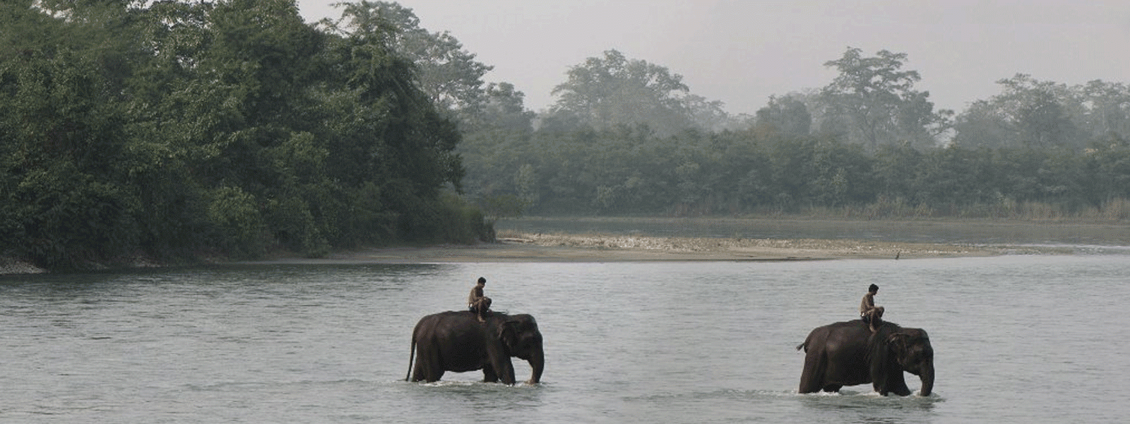 Chitwan Jungle Safari Tour